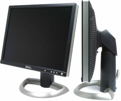Dell 22' LCD Monitor